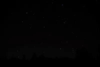 DSC_1105 (Large).JPG